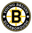 Scarborough Young Bruins Hockey Club – Celebrating 65.